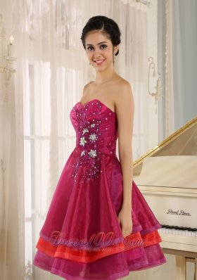 Multi-color Strapless Short Prom Dress Organza Beading