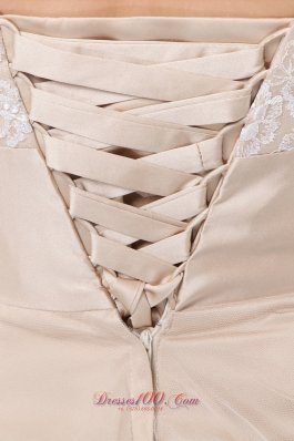 Champagne Bowknot Short Prom / Homecoming Dress Straps