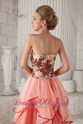 Column Strapless Organza Appliques Prom Evening Dress