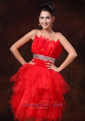 Chic Red Feather and Tulle Beaded Cocktail Dress 2013