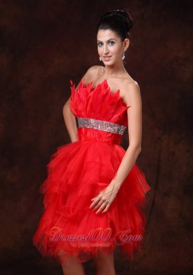 Chic Red Feather and Tulle Beaded Cocktail Dress 2013