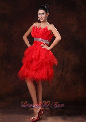 Chic Red Feather and Tulle Beaded Cocktail Dress 2013