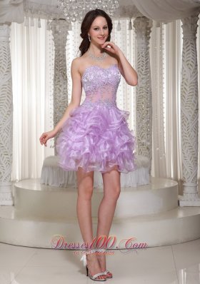 Sexy See-through Lace Lavender Homecoming Dress