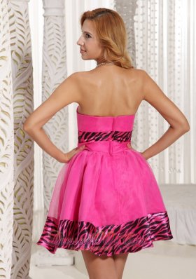 Hot Pink Zebra Mini-length 2013 Prom Graduation Dress Cheap