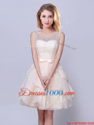 Champagne Sleeveless Organza Lace Up Damas Dress for Prom and Party and Wedding Party