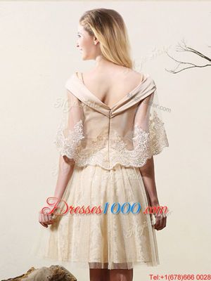 Extravagant Tulle and Lace Sleeveless Mini Length Dama Dress and Lace