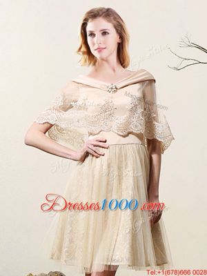 Extravagant Tulle and Lace Sleeveless Mini Length Dama Dress and Lace