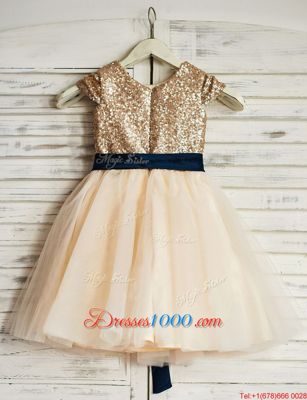 Most Popular Tulle Scoop Sleeveless Zipper Sashes|ribbons and Sequins Flower Girl Dress in Champagne