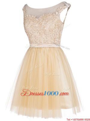 Champagne Empire Tulle Bateau Sleeveless Lace Mini Length Zipper Prom Dress