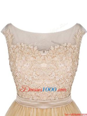 Champagne Empire Tulle Bateau Sleeveless Lace Mini Length Zipper Prom Dress