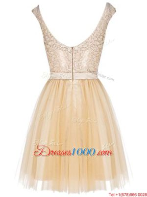 Champagne Empire Tulle Bateau Sleeveless Lace Mini Length Zipper Prom Dress