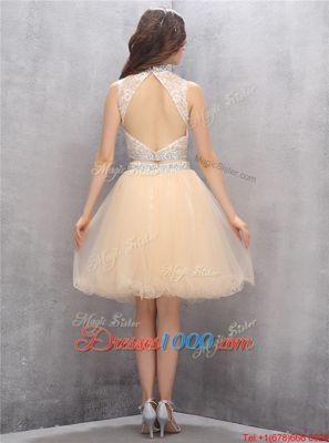 Knee Length Champagne Womens Party Dresses Tulle Sleeveless Beading and Embroidery