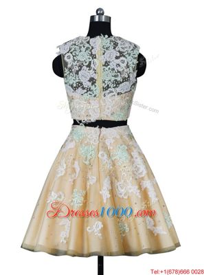 Knee Length Champagne Prom Gown Scoop Sleeveless Zipper
