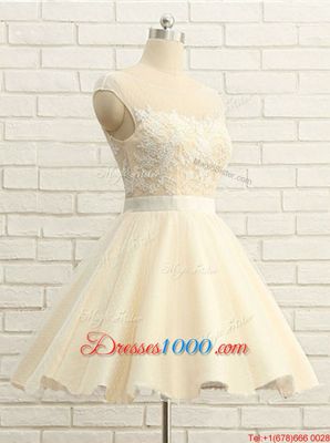 High Class Champagne Zipper Scoop Lace Homecoming Dress Organza Cap Sleeves