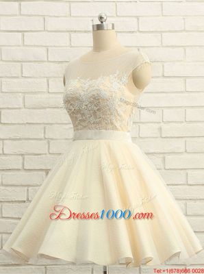 High Class Champagne Zipper Scoop Lace Homecoming Dress Organza Cap Sleeves