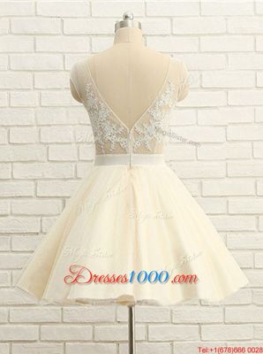 High Class Champagne Zipper Scoop Lace Homecoming Dress Organza Cap Sleeves