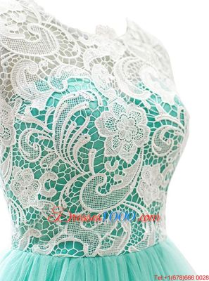 Scoop Clasp Handle Tulle Sleeveless Knee Length Prom Dresses and Lace
