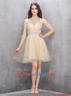 A-line Prom Dresses Champagne Scoop Tulle Sleeveless Knee Length Zipper