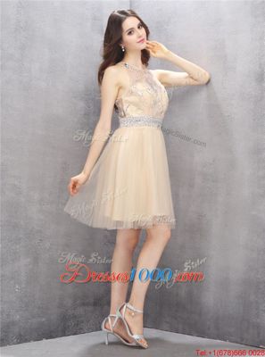 A-line Prom Dresses Champagne Scoop Tulle Sleeveless Knee Length Zipper