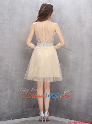 A-line Prom Dresses Champagne Scoop Tulle Sleeveless Knee Length Zipper