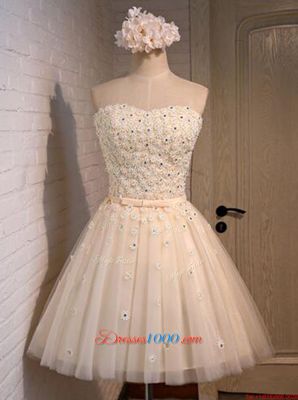 Popular Mini Length Lace Up Prom Dresses Champagne and In for Prom with Appliques