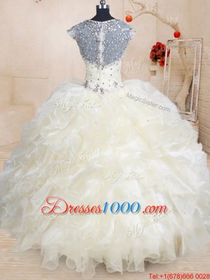 Dynamic Straps Cap Sleeves Zipper Sweet 16 Dress Champagne Organza