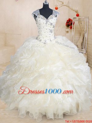 Dynamic Straps Cap Sleeves Zipper Sweet 16 Dress Champagne Organza