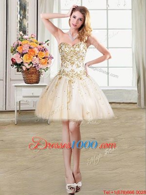 Mini Length Ball Gowns Sleeveless Champagne Party Dress Wholesale Lace Up