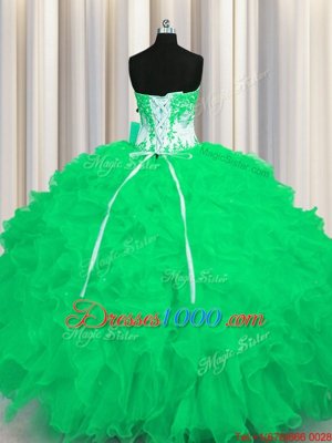 Organza Sleeveless Floor Length Sweet 16 Dresses and Appliques and Ruffles