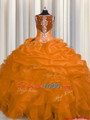 Luxury See Through Zipper Up Straps Sleeveless Organza 15 Quinceanera Dress Appliques and Ruffles Zipper