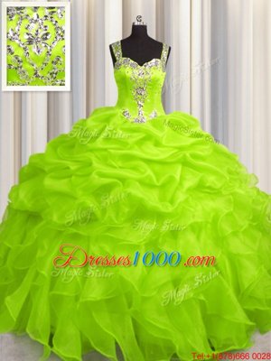 See Through Zipper Up Ball Gowns Straps Sleeveless Organza Floor Length Zipper Appliques and Ruffles Sweet 16 Dress
