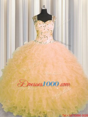 Charming See Through Zipper Up Tulle Sleeveless Floor Length 15th Birthday Dress and Beading and Ruffles