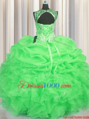 See Through Scoop Sleeveless Lace Up 15 Quinceanera Dress Organza