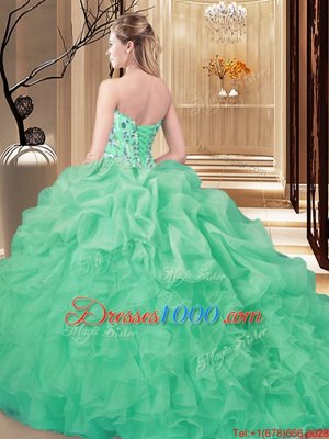 Sweetheart Sleeveless Organza 15 Quinceanera Dress Embroidery and Ruffles and Pick Ups Brush Train Lace Up