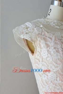 Artistic Tulle Bateau Cap Sleeves Zipper Lace Prom Evening Gown in Pink