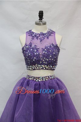 Scoop Sleeveless Side Zipper Evening Dress Lavender Tulle