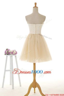 Champagne Tulle and Lace Zipper Sleeveless Knee Length Lace