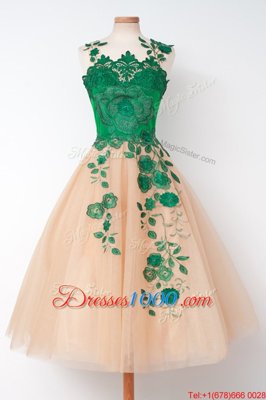 Beauteous Scalloped Sleeveless Tulle Evening Dress Embroidery Zipper