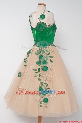 Beauteous Scalloped Sleeveless Tulle Evening Dress Embroidery Zipper