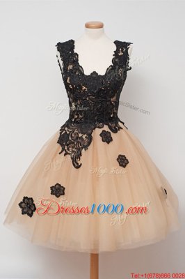 Champagne Sleeveless Tulle Zipper Prom Dresses for Prom and Party