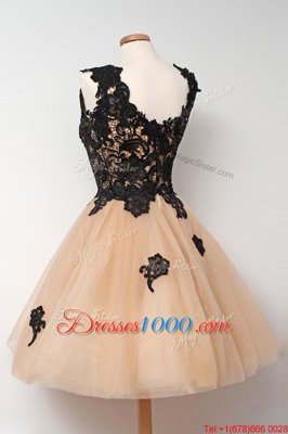 Champagne Sleeveless Tulle Zipper Prom Dresses for Prom and Party