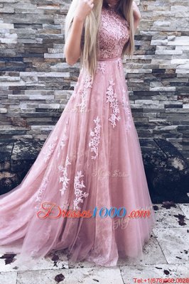 Sweep Train A-line Prom Dresses Pink Scoop Tulle Sleeveless Zipper