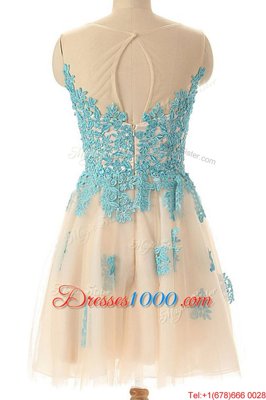 Discount Champagne Zipper Cocktail Dresses Appliques Sleeveless Mini Length