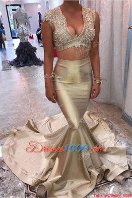 Mermaid Champagne Sleeveless Appliques Zipper Prom Dress