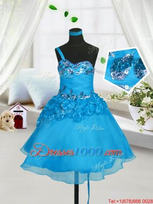 Fantastic Baby Blue A-line Beading and Hand Made Flower Kids Pageant Dress Lace Up Organza Sleeveless Knee Length