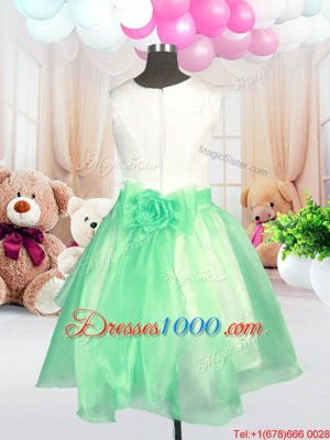 Lovely Apple Green Zipper Scoop Hand Made Flower Flower Girl Dresses Organza Sleeveless