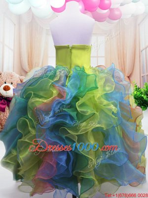 Charming Strapless Sleeveless Zipper Little Girls Pageant Gowns Multi-color Organza