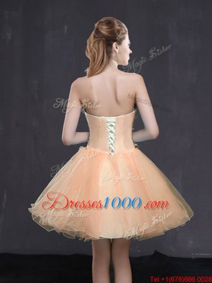 Custom Made Peach Lace Up Celeb Inspired Gowns Appliques Sleeveless Mini Length