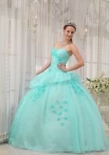 Apple Green Ball Gown Sweetheart Quinceanera Dress with Organza Appliques