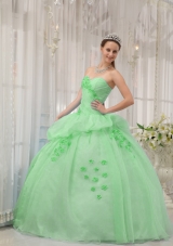 Classical Quinceanera Dress in Apple Green Ball Gown Sweetheart with Appliques